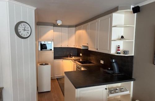 Nieuwpoort-aan-Zee Apartamento | Scorpio 0702