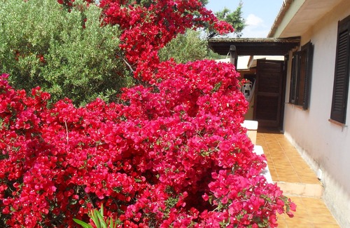 Ruoni Apartamento | Sea View Apartment