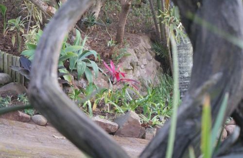 Pennington Casa | Sea Vista