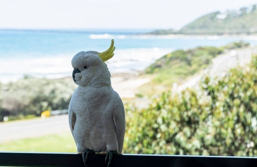 Separation Creek Apartamento | Sea Zen - Couples studio with steam shower and spa