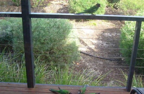 Peppermint Grove Beach Casa | Seachange Holiday House