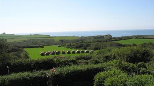 Crynant Casa | Seacliffs