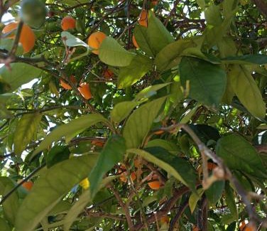 Vassiliki Apartamento | SeaEsta vasiliki 2