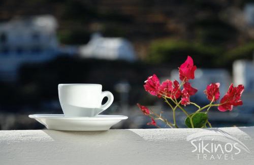 Alopronia Casa | Seaside Traditional Cycladic House