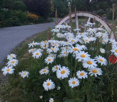 Powell River Complejo | Seaside Villa Motel & RV Park