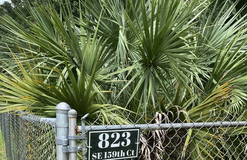 Ocklawaha Cabina | Secluded Cabin #2 in the Woods Close to Everything