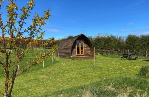 Crovie Cabina | Estándar-Cabaña-Baño privado con ducha
