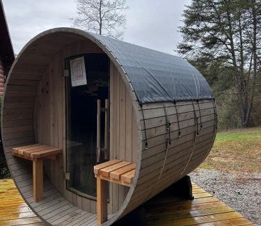 Logan Casa | Secluded Cabin, Outdoor Sauna, Hot Tub, Geo DOME, Game Rm, EV, BBQ