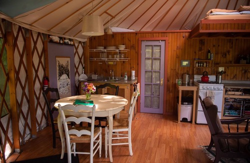 Trumansburg Cabina | Acogedora yurta limpia, ubicada en privado en bosques y jardines