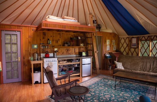 Trumansburg Cabina | Acogedora yurta limpia, ubicada en privado en bosques y jardines