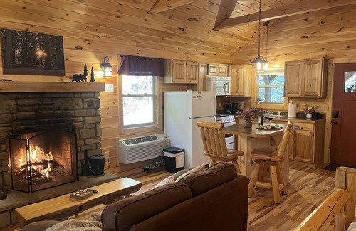Carbon Hill Cabina | Secluded Cozy Cabin - Hot Tub, Fire Pit, Fireplace
