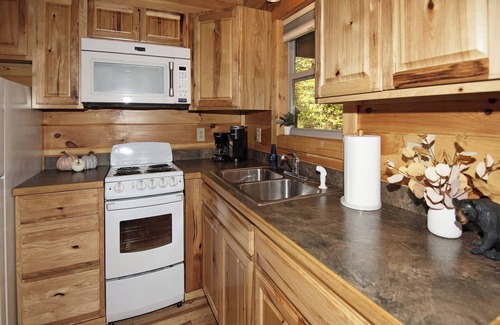 Carbon Hill Cabina | Secluded Cozy Cabin - Hot Tub, Fire Pit, Fireplace