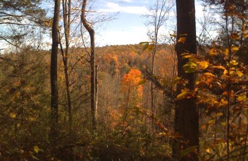 Mehoopany Chalet De Esquí | Secluded in the Woods Cedar Hot Tub Pet Friendly