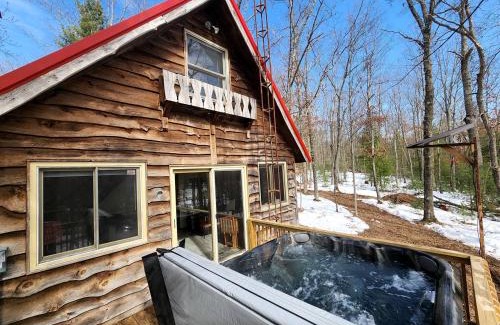 Paris Casa | Secluded Luxury Cabin with Hot Tub on 10 Private Acres near Trails in Reed City, Michigan