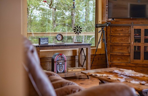 Hasty Cabina | Secluded mountaintop cabin, 40 acres, views of Buffalo River below & wildlife
