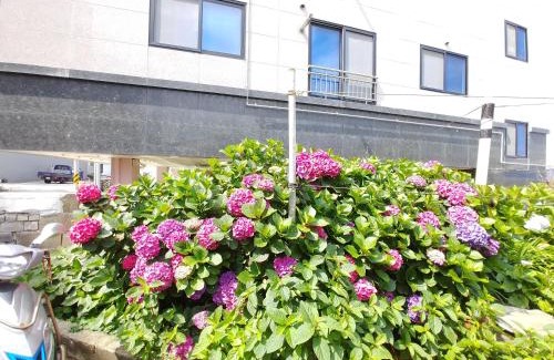 Seongsan Casa | Seongsan Star Pension