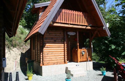 Central Serbia Villa | Seoski Turizam Feniks - apartman Ostrog