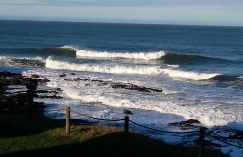 Depoe Bay Complejo | September 16-23, 2023 Worldmark Depot Bay, OR! Ocean view! No Cleaning Fee.