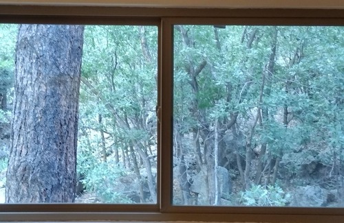 Flagstaff Casa | ¡UBICACIÓN! Escapada de amantes de la naturaleza - Hermosa casa cerca del centro de la ciudad! Relájate en Pines!