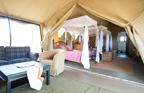 Serengeti National Park Otro | Serengeti Wildebeest Camp