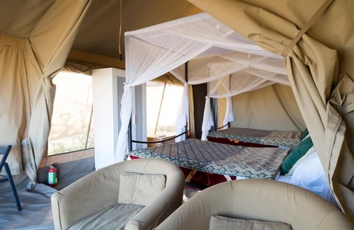 Serengeti National Park Otro | Serengeti Wildebeest Camp