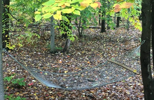 Michaywe Casa | Serenity at the Pine House: alejarse de todo