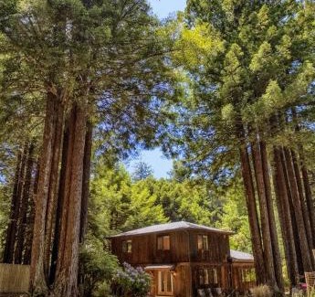 Fort Bragg Casa | Serenity Grove