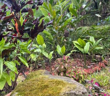 Sabana Redonda Casa | Serenity Mountain