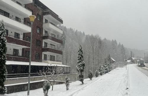 Sinaia Apartamento | Serenity Suite