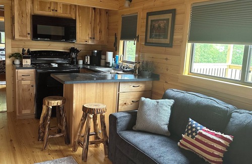 Weikert Cabina | Charming 3-room cabin in Millmont with fire pit, AC, freeWiFi, hammock and porch