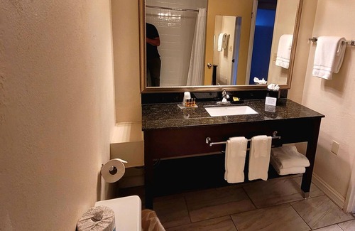 Southmoreland Hotel | Seville Plaza Hotel, Trademark Collection by Wyndham