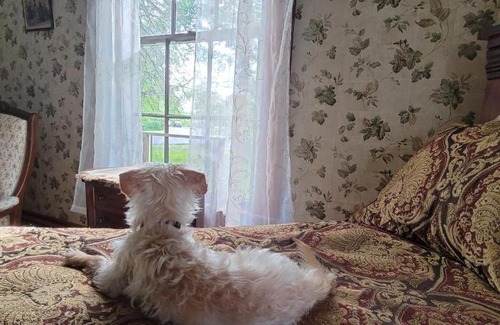 Island Falls Complejo | Sewall House Yoga Retreat