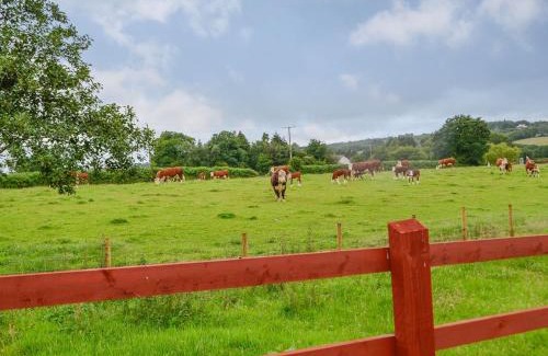 Ammanford Casa | Sgubor Llwyndu