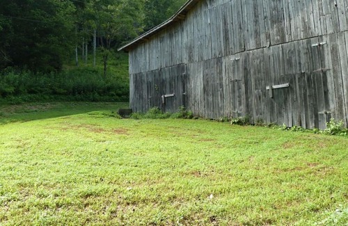 Gainesboro Alquiler De RV | Shaggy Bark Camping9. Una experiencia de camping más privada. La granja Walker de 75 acres