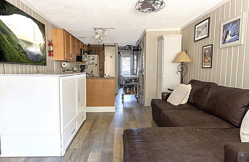 Snowshoe Casa | Shamrock 21A: Winter Escape for You & Your Dog with Fireplace & EV