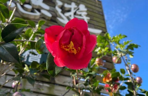 Lugu Cama Y Desayuno | Shan Jhong You You B&B