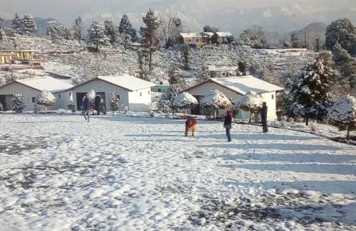 Chaukori Casa | Shanti Home Stay