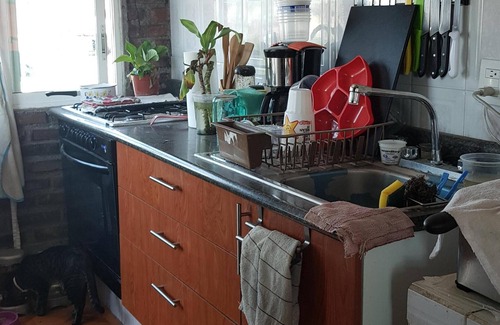 Coyoacán Apartamento | Habitación compartida para viajeros gay hombres.