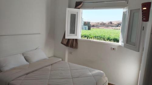 Luxor Hotel | Sharqotel Luxor