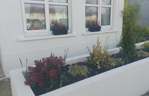 Waterford Casa | Shauna's Guest house