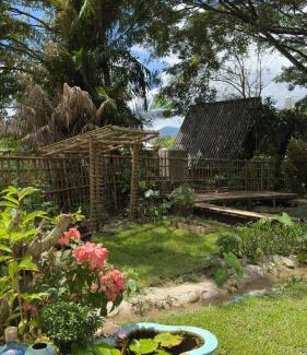 Pai Casa | Shaya Resort