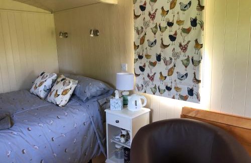Oswestry Otro | Shepherds Hut at The Retreat