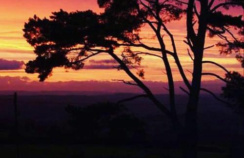 Raymonds Hill Casa | Shepherds Knapp Lodge-Uk13284