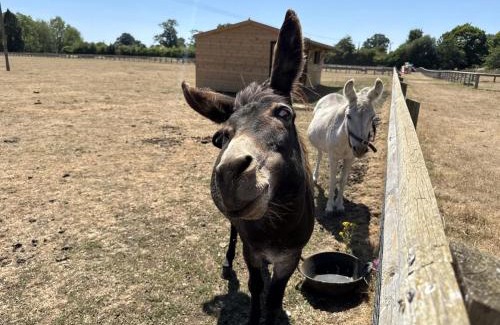 Lechlade Casa | Shepherds Rest Cotswolds Cottage Farm Stay With Pool