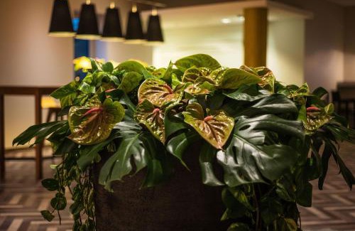 Dusseldorf-Lohausen Hotel | Sheraton Duesseldorf Airport Hotel