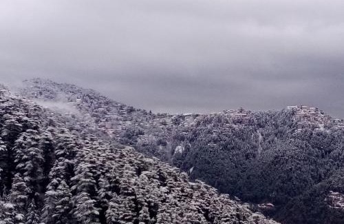 Shimla Casa | Shimla Regency