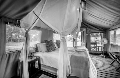 Thorny Bush Game Reserve Otro | Shindzela Tented Camp