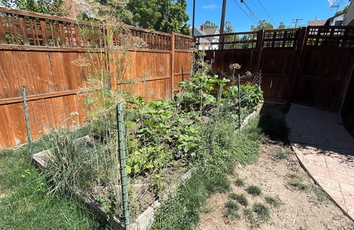 East Central Casa | Short drive from downtown in a friendly neighborhood! Pet Friendly