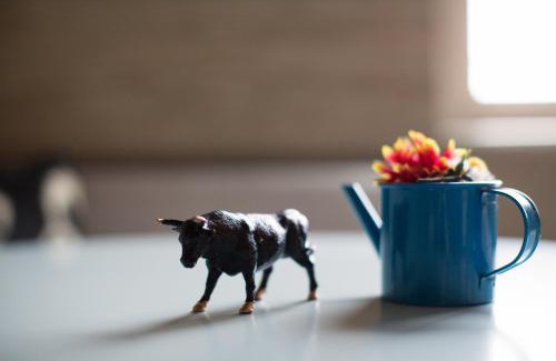 La Brea Hotel | Short Stories Hotel Near The Grove