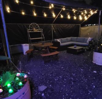 Diplomat Otro | Shroom life farm Chicken shack